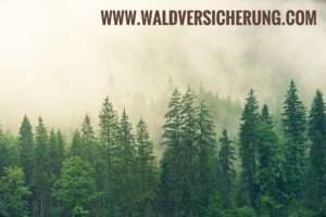Claim Wyaldversicherung