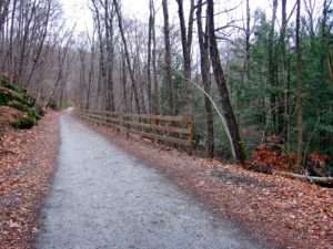 Waldweg